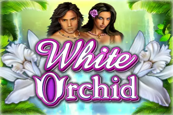 White Orchid Demo Arcade